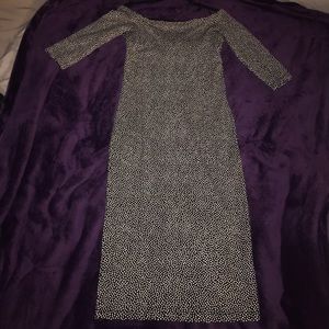 Brand New Zara Polka Dot dress